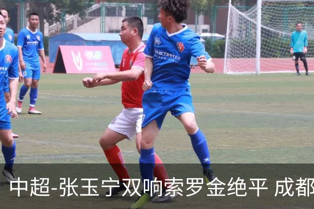 中超-张玉宁双响索罗金绝平 成都连扳两球2-2国安4连平